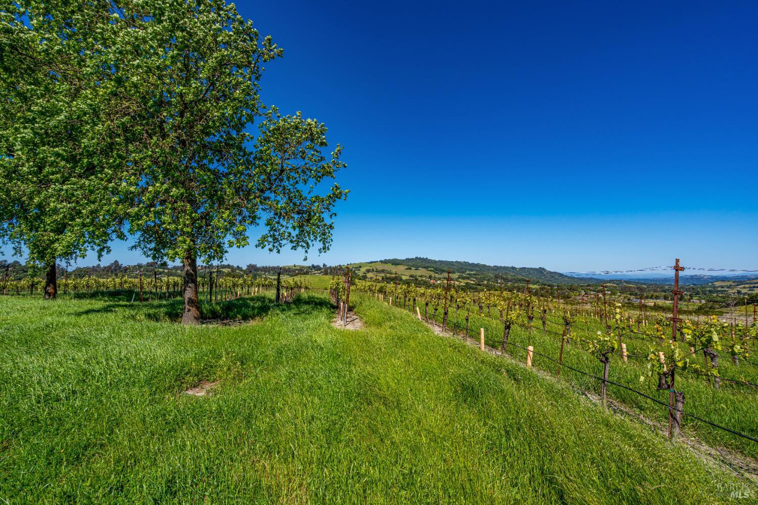 4560 Sonoma Mountain Rd