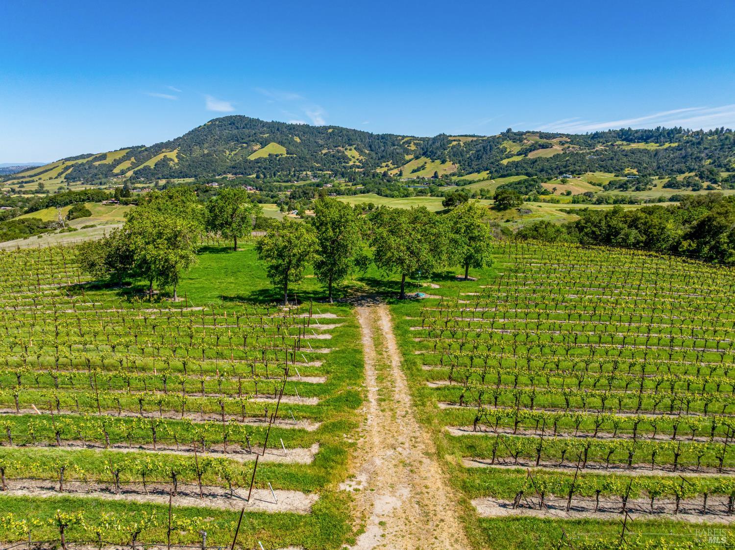 4560 Sonoma Mountain Rd