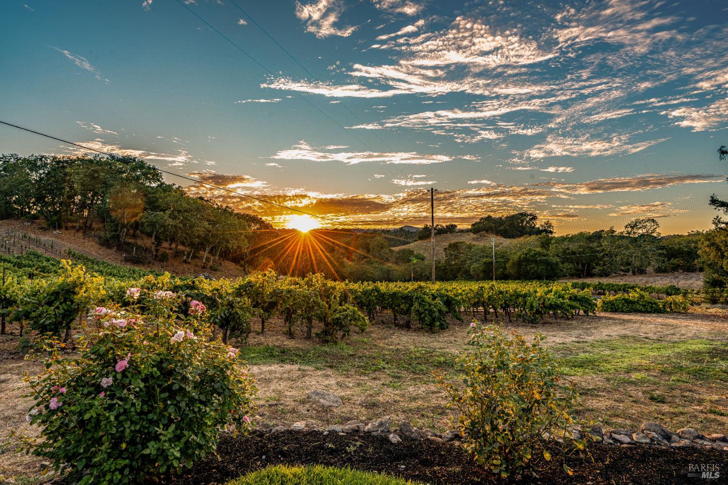 1790 Warm Springs Rd