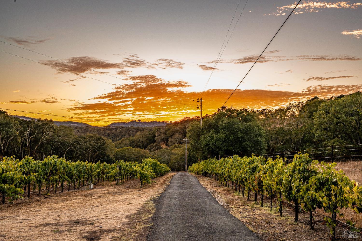 1790 Warm Springs Rd