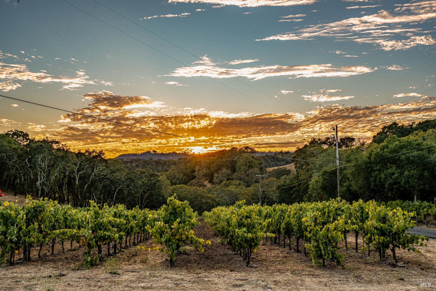 1790 Warm Springs Rd