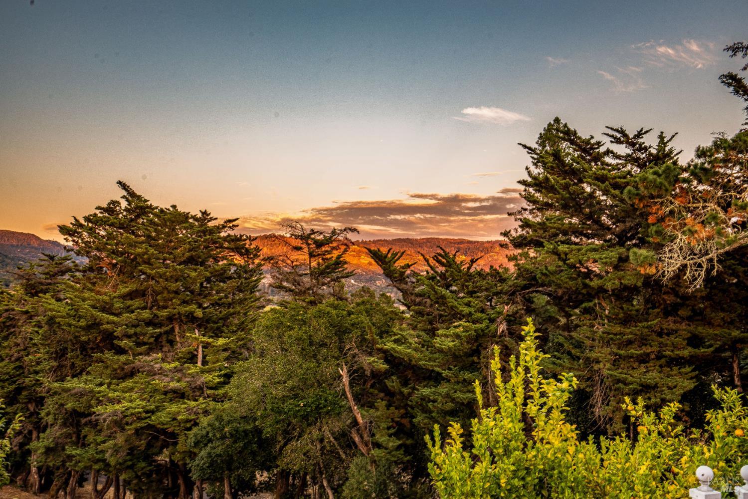 1790 Warm Springs Rd