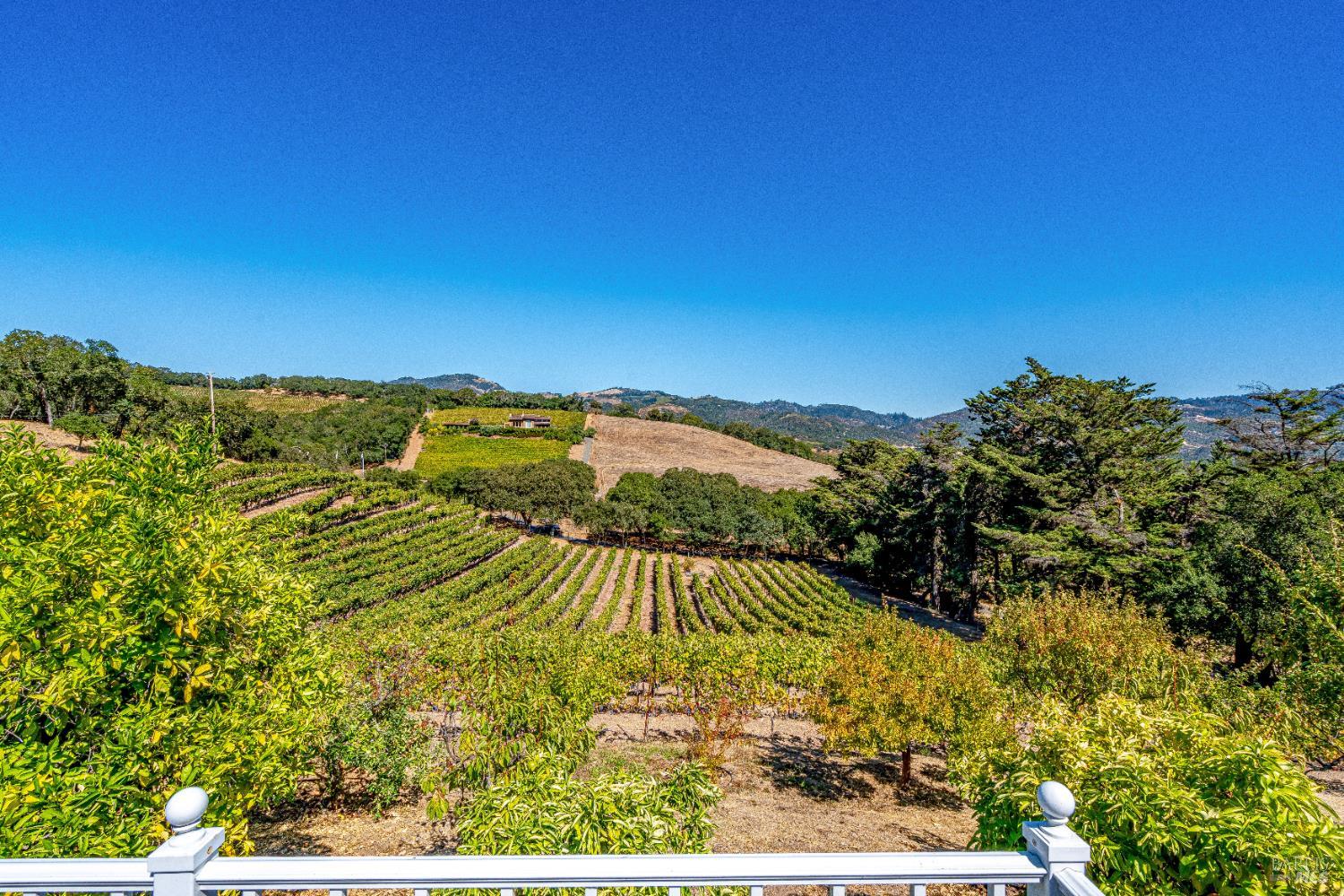 1790 Warm Springs Rd