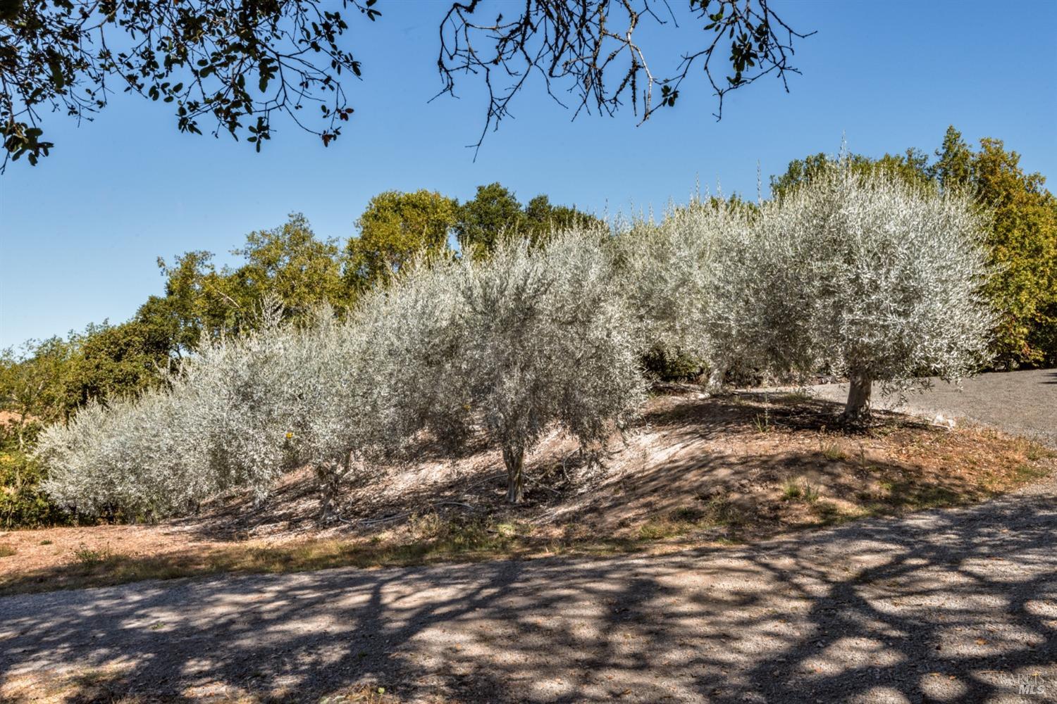 3763 Matanzas Creek Lane