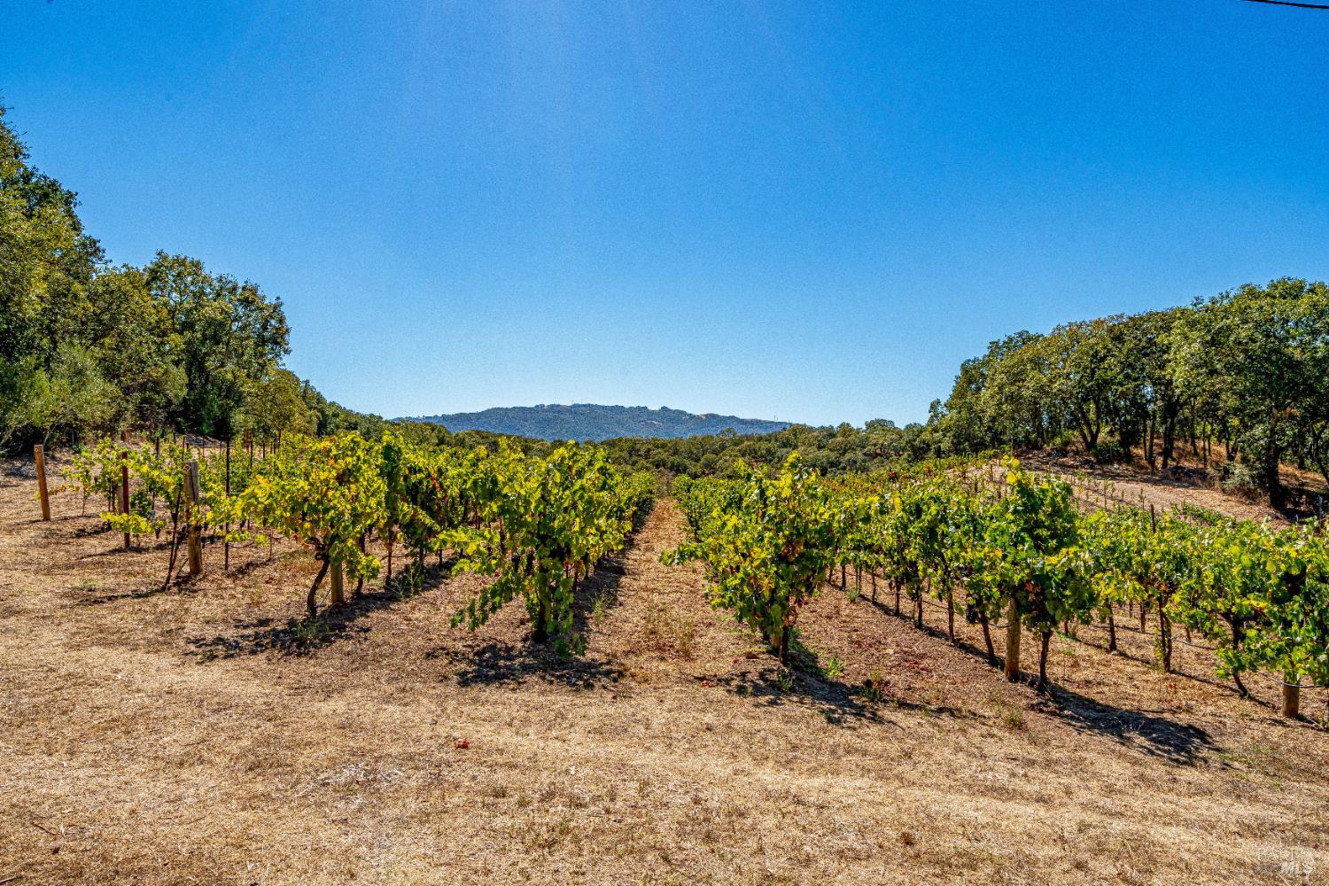 1790 Warm Springs Road