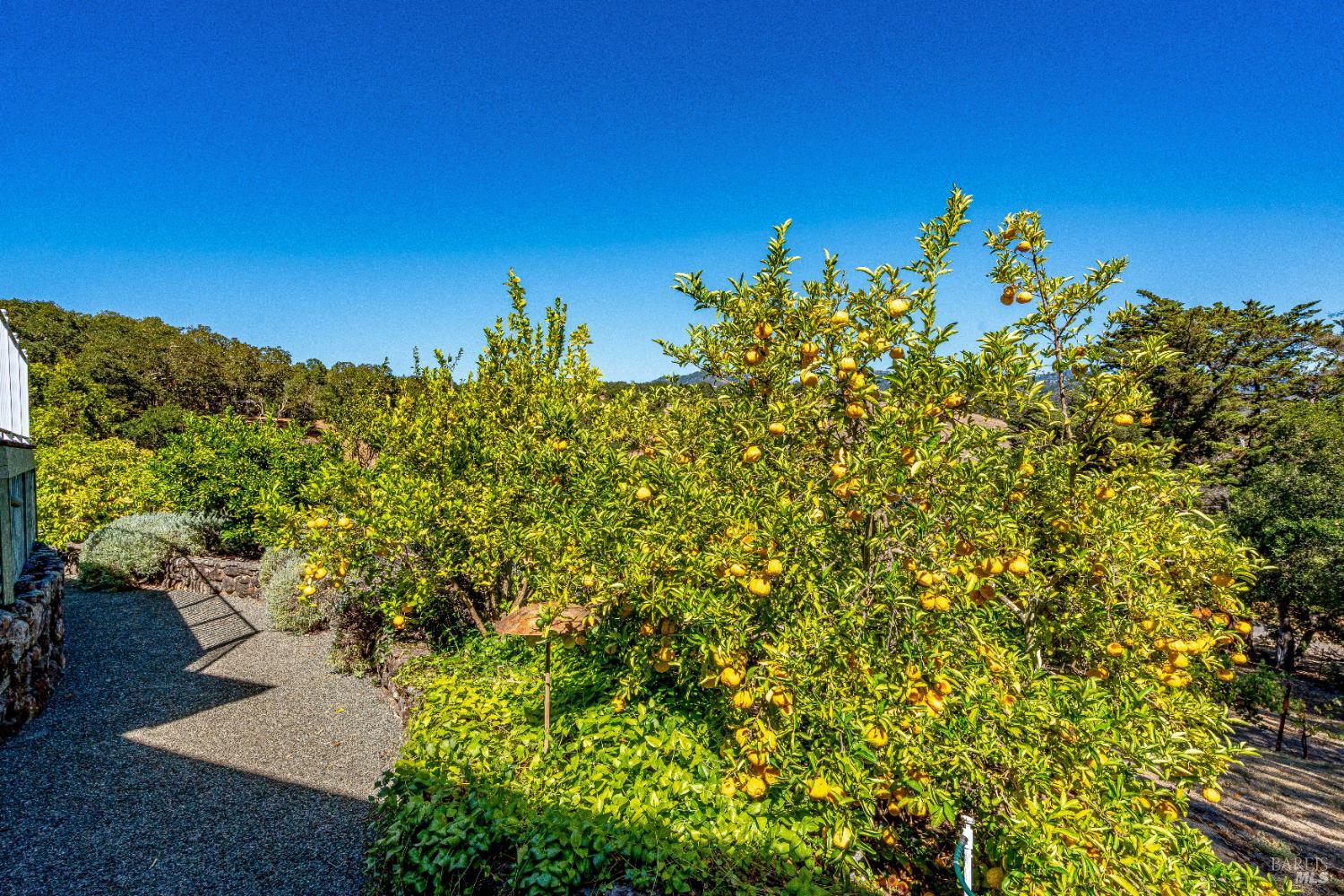 1790 Warm Springs Road