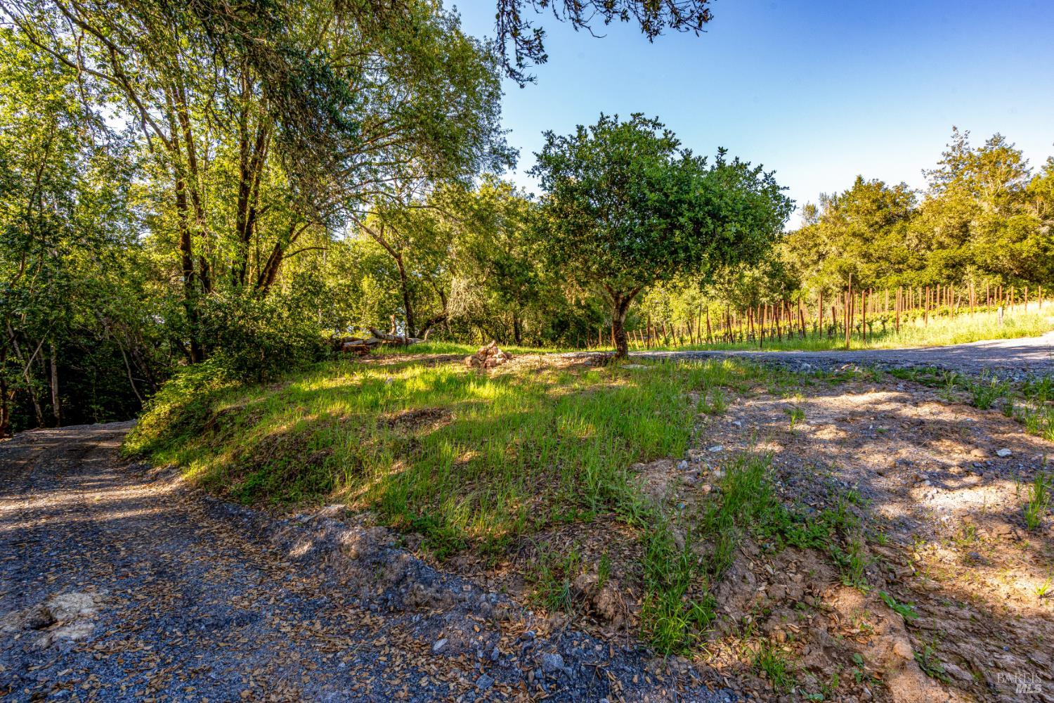9219 Carols View Lane