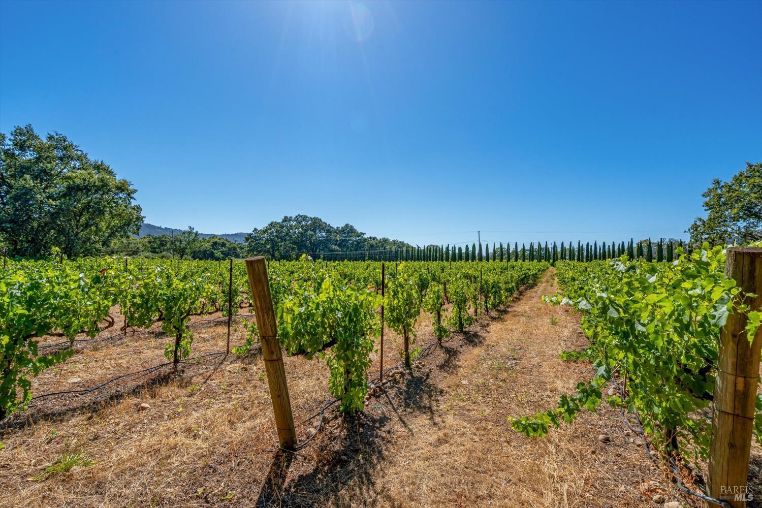 8049 Sonoma Highway