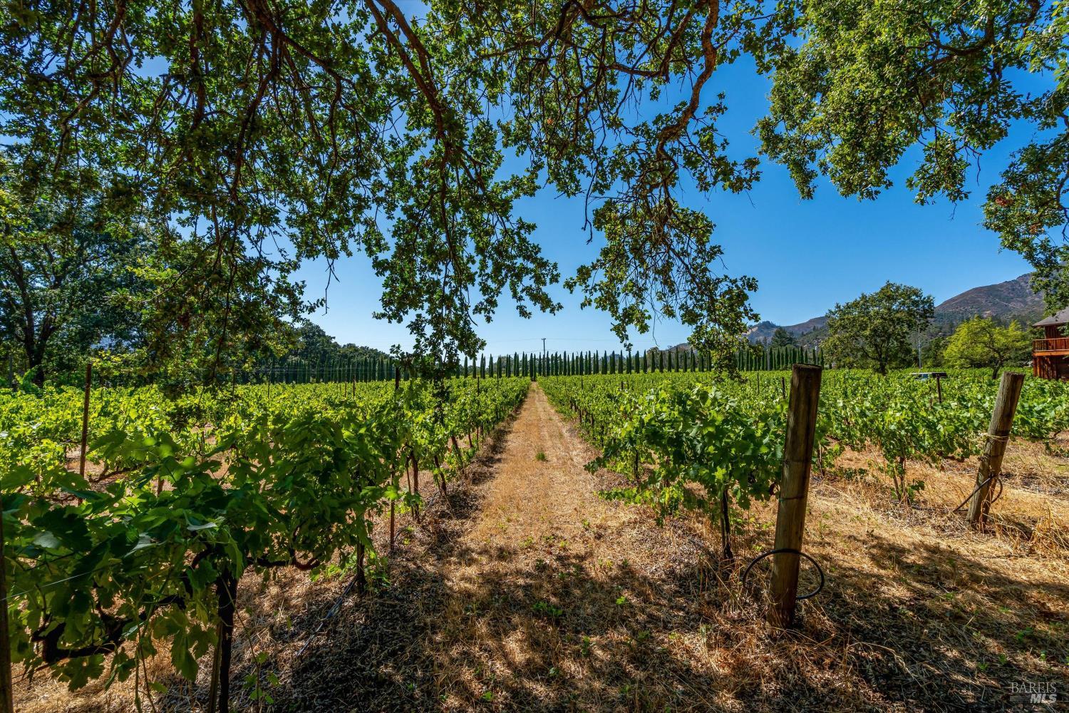 8049 Sonoma Highway