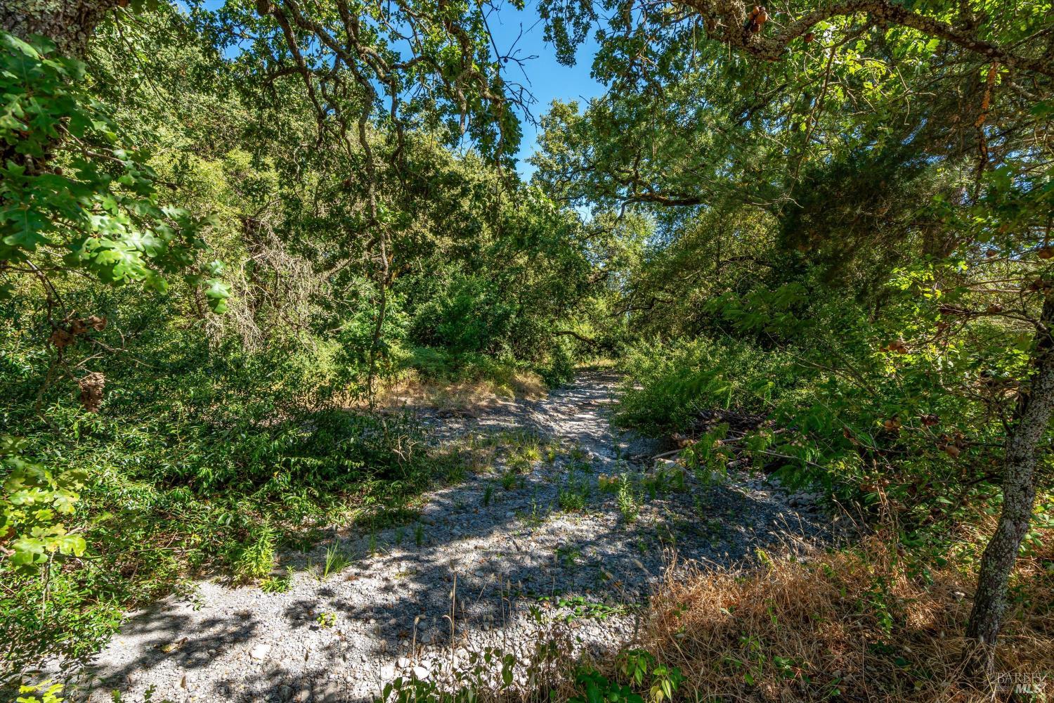 8049 Sonoma Highway