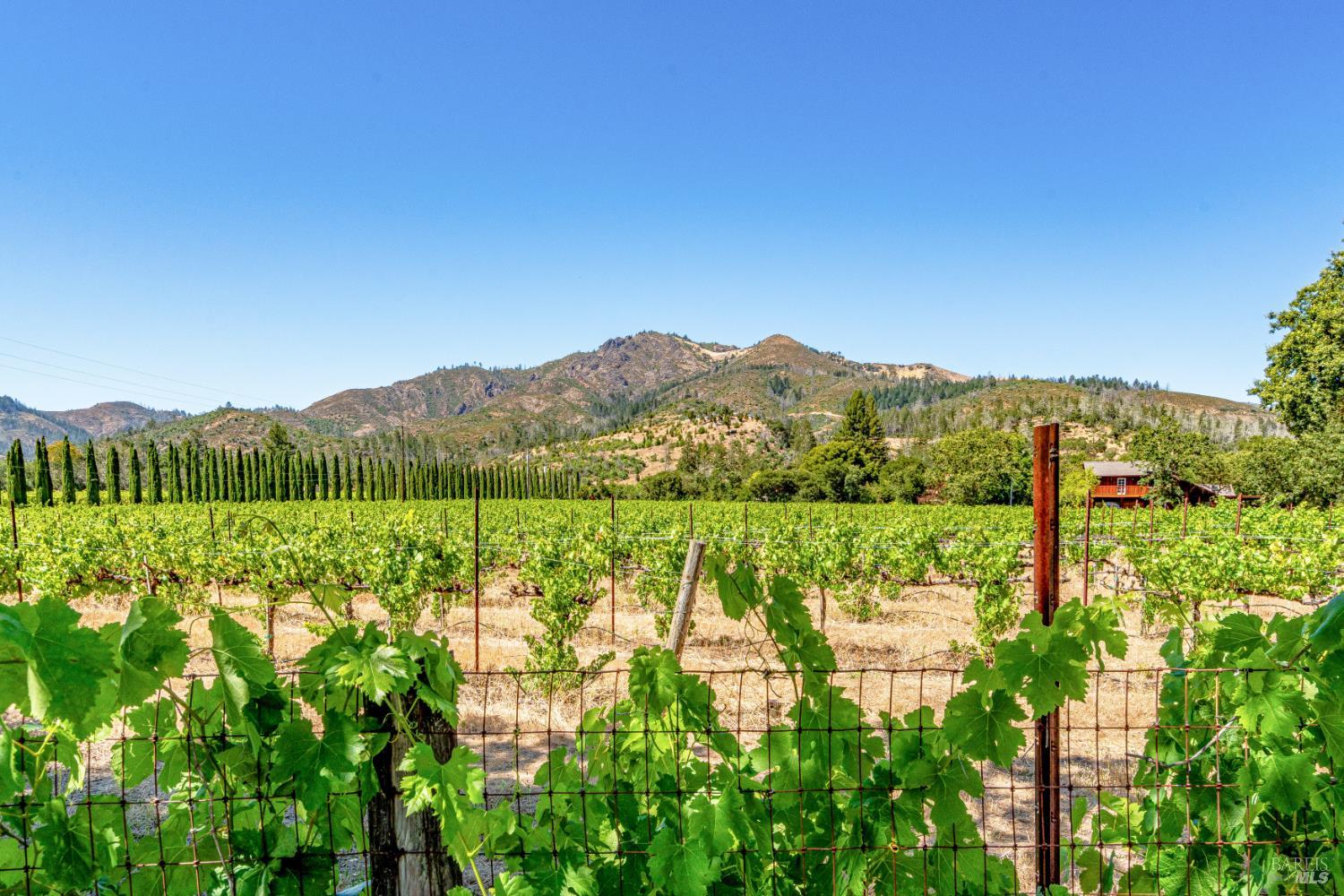 8021 Sonoma Highway