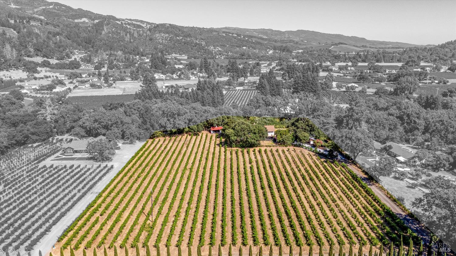 8021 Sonoma Highway