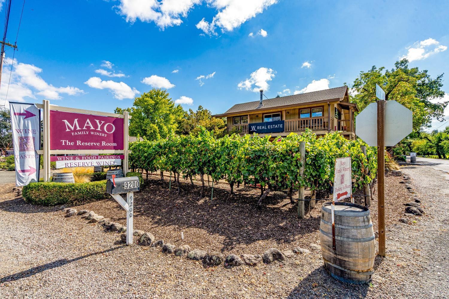Mayo Family Winery with grapevines, tasting-room signs, and a wooden building.