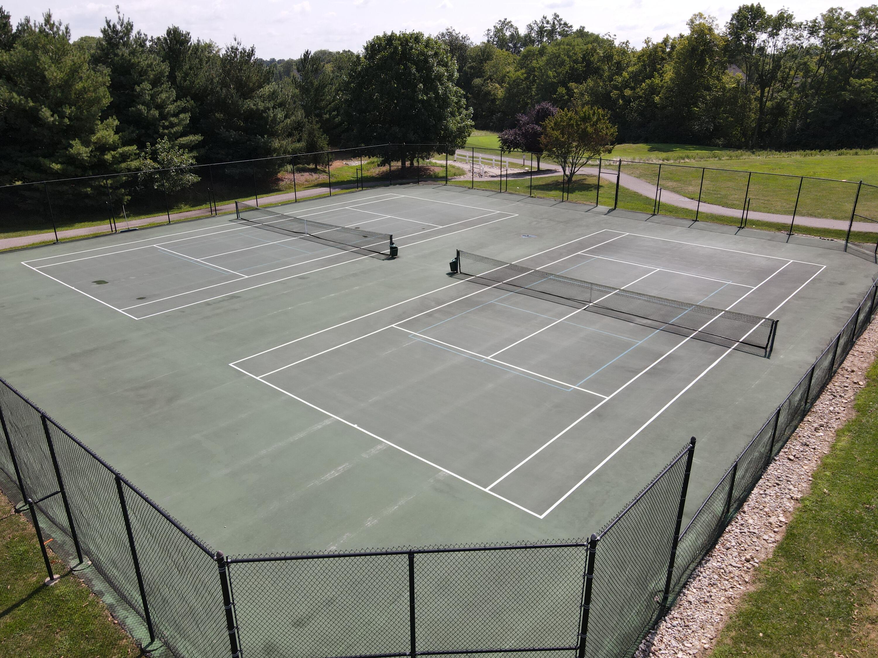 10667 Sunnys Halo Court