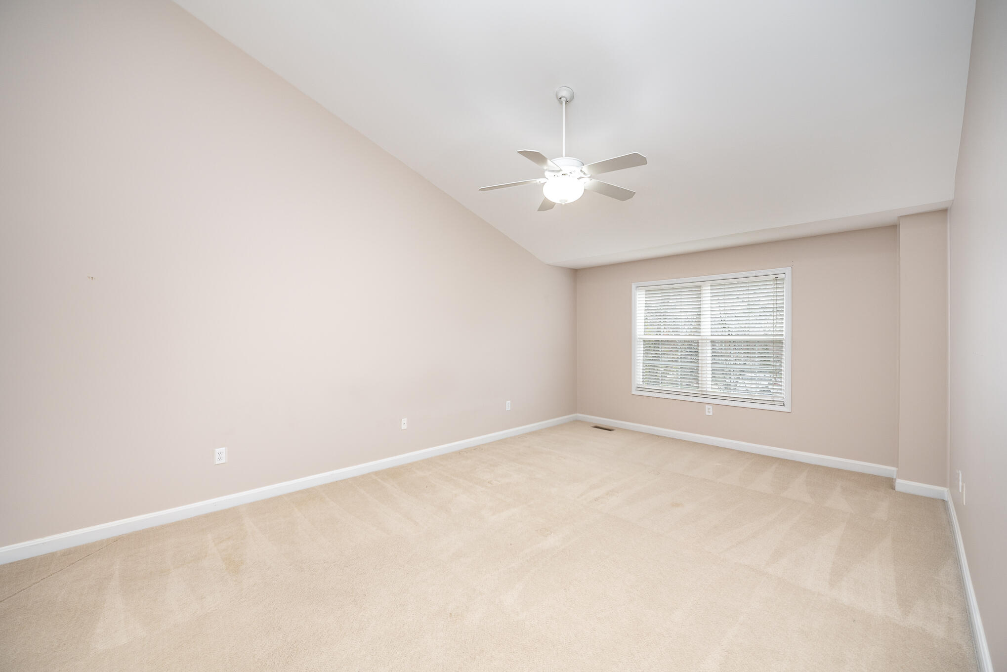 10667 Sunnys Halo Court