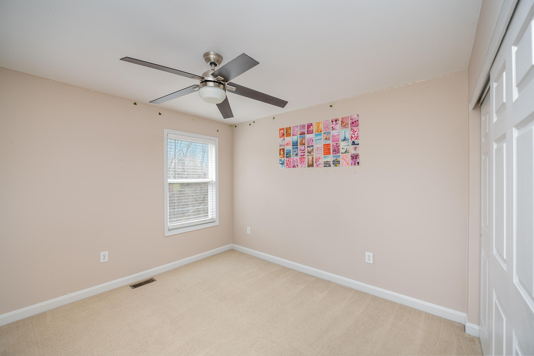 10667 Sunnys Halo Court