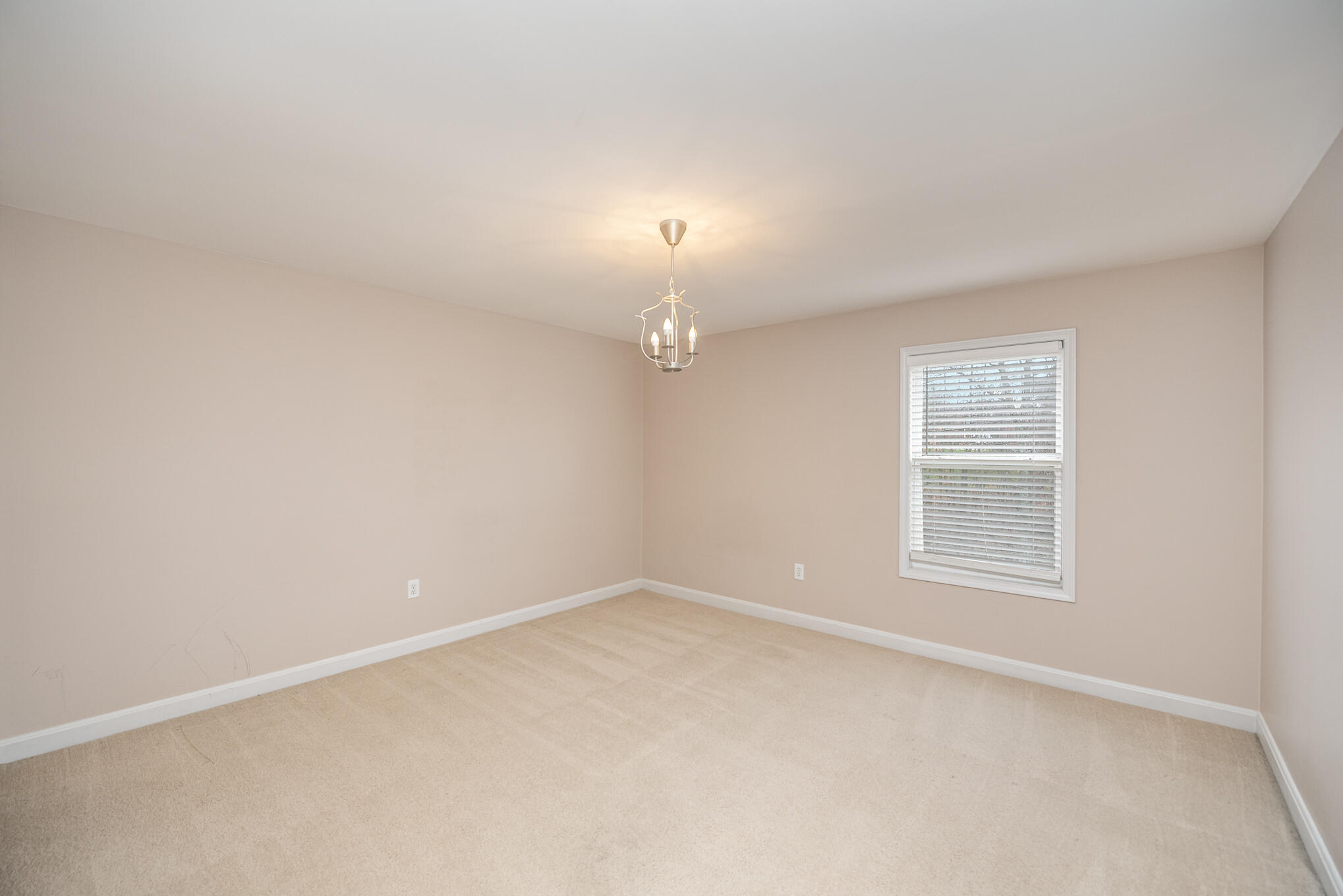 10667 Sunnys Halo Court