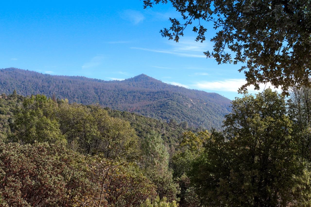 2513 Twin Peaks Road