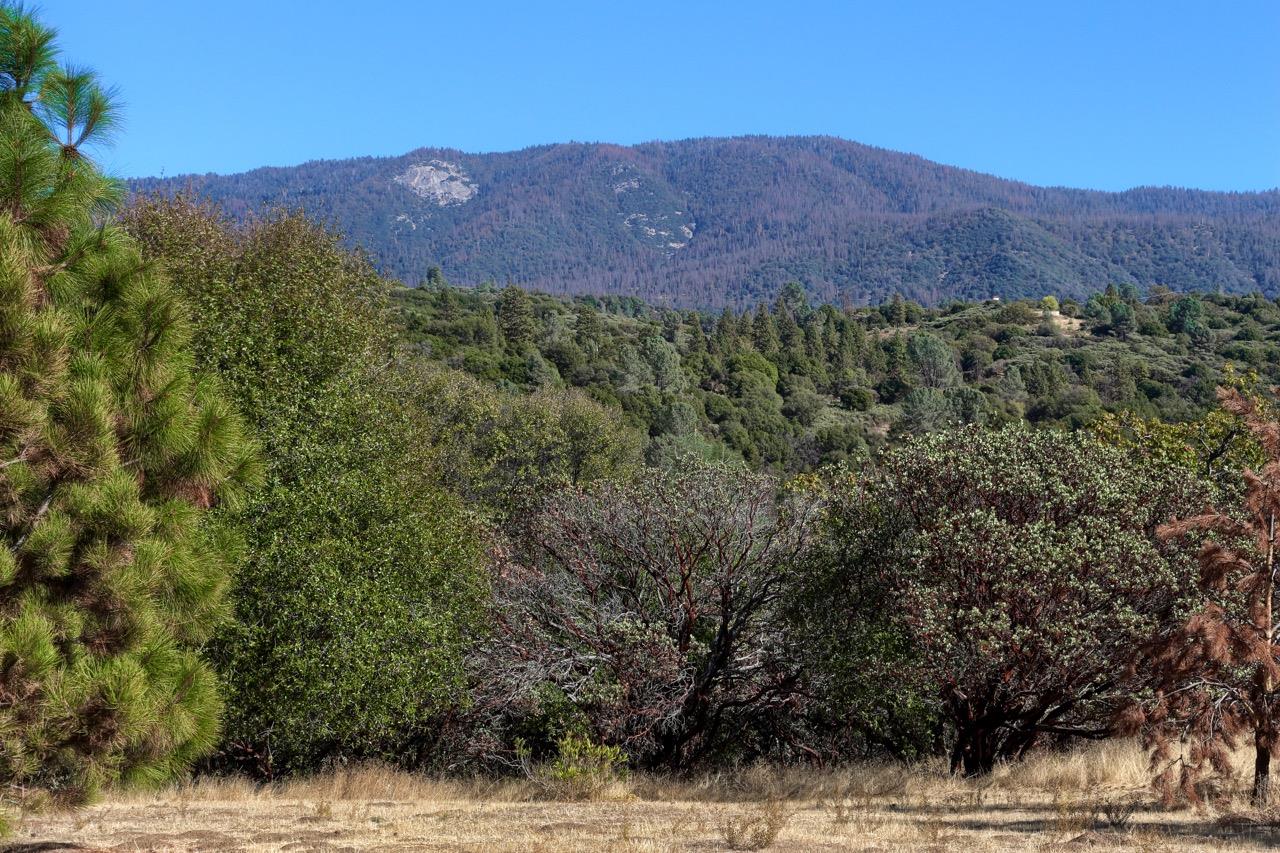 2513 Twin Peaks Road