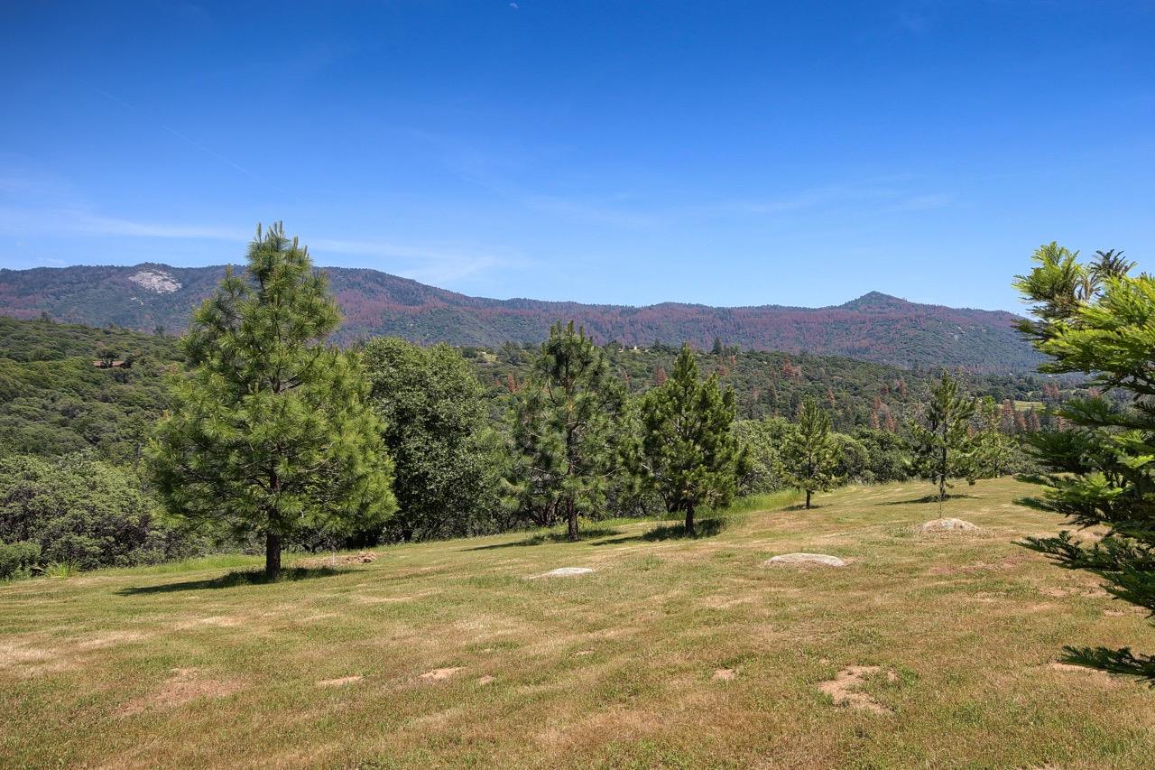 2513 Twin Peaks Road