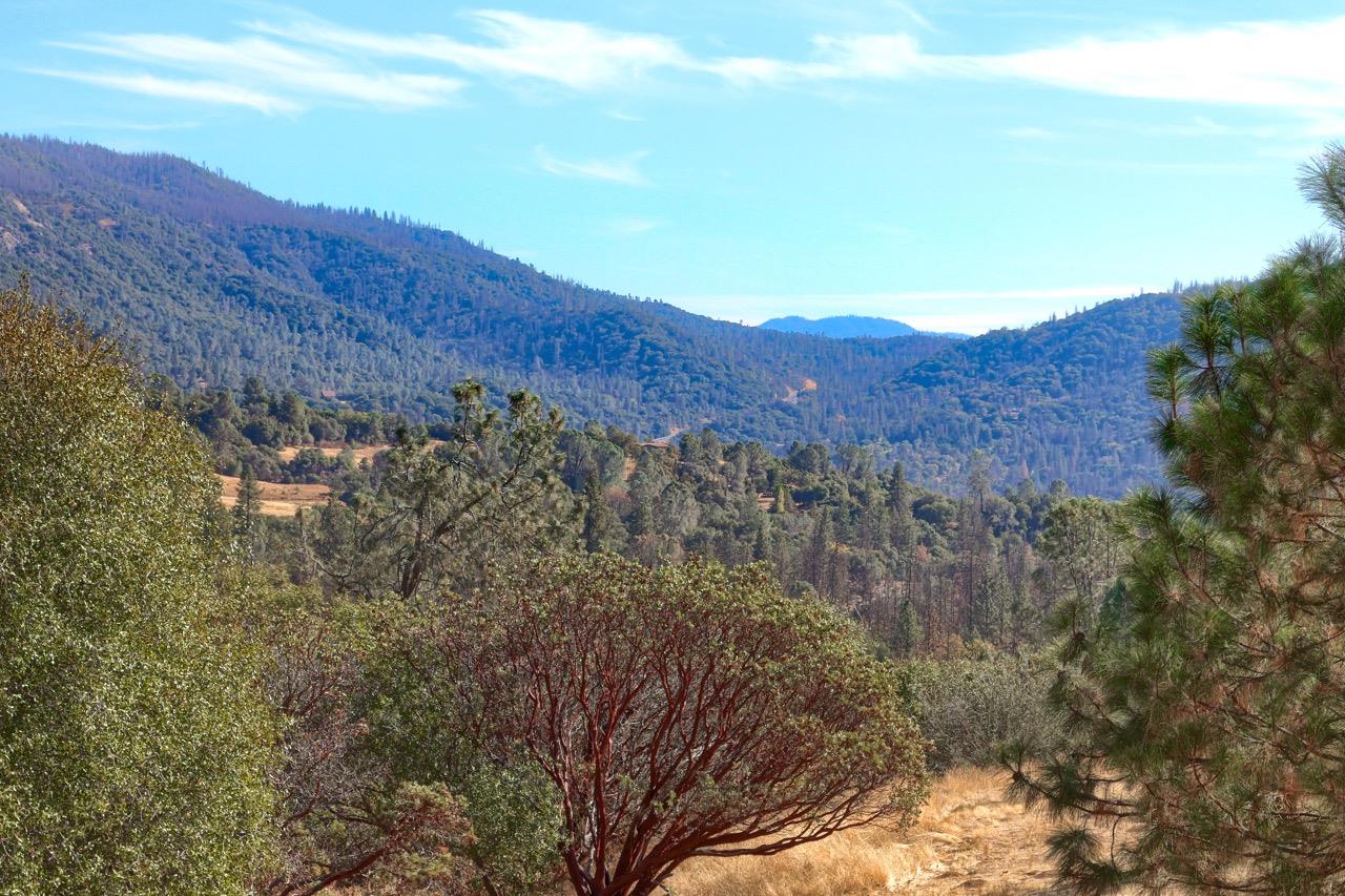 2513 Twin Peaks Road