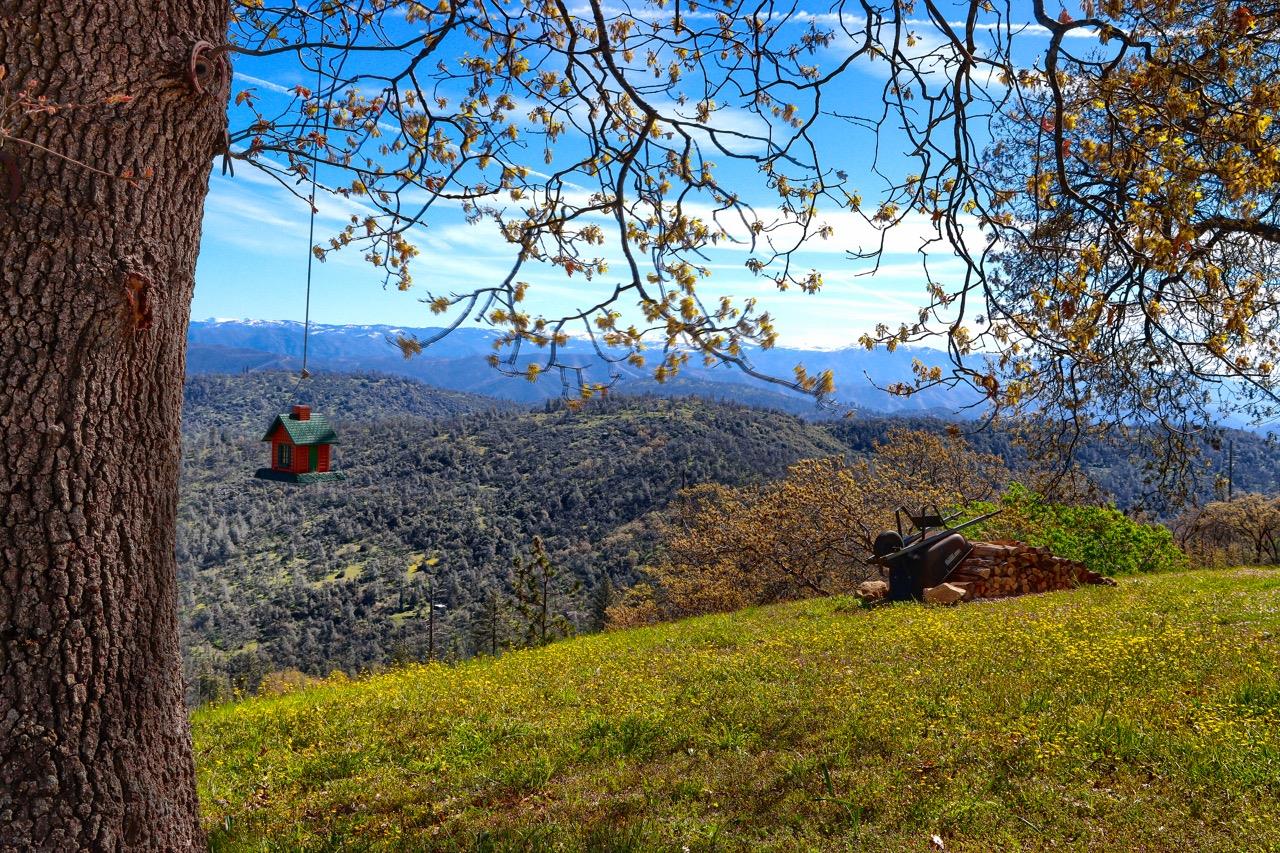 5851 Mount Bullion Ridge Rd