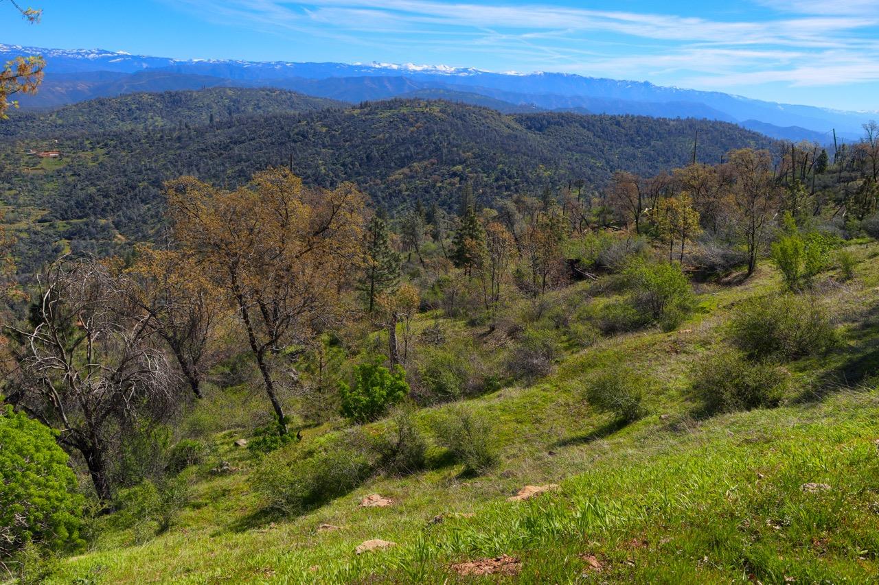 5851 Mount Bullion Ridge Rd