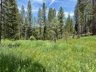 64618 Tamrack Trail