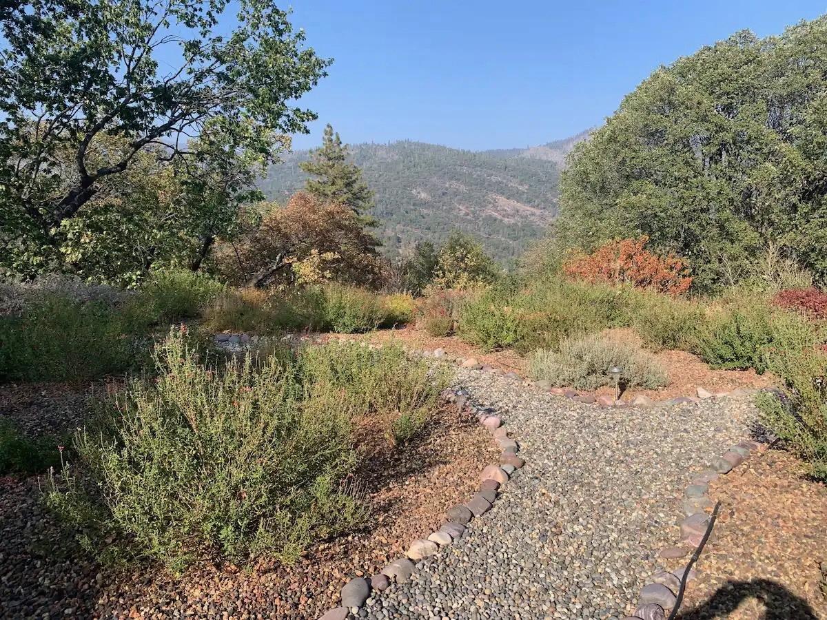 50044 Whispering Pine