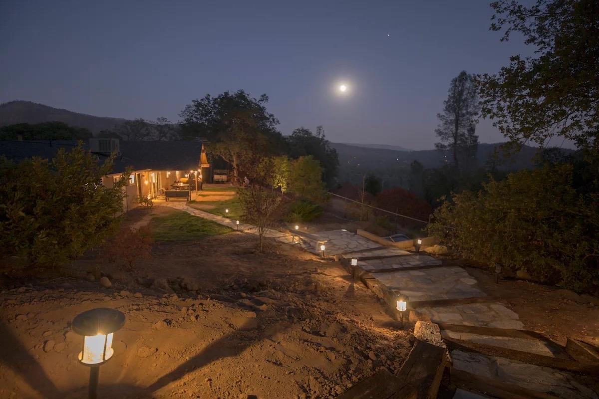 50044 Whispering Pine