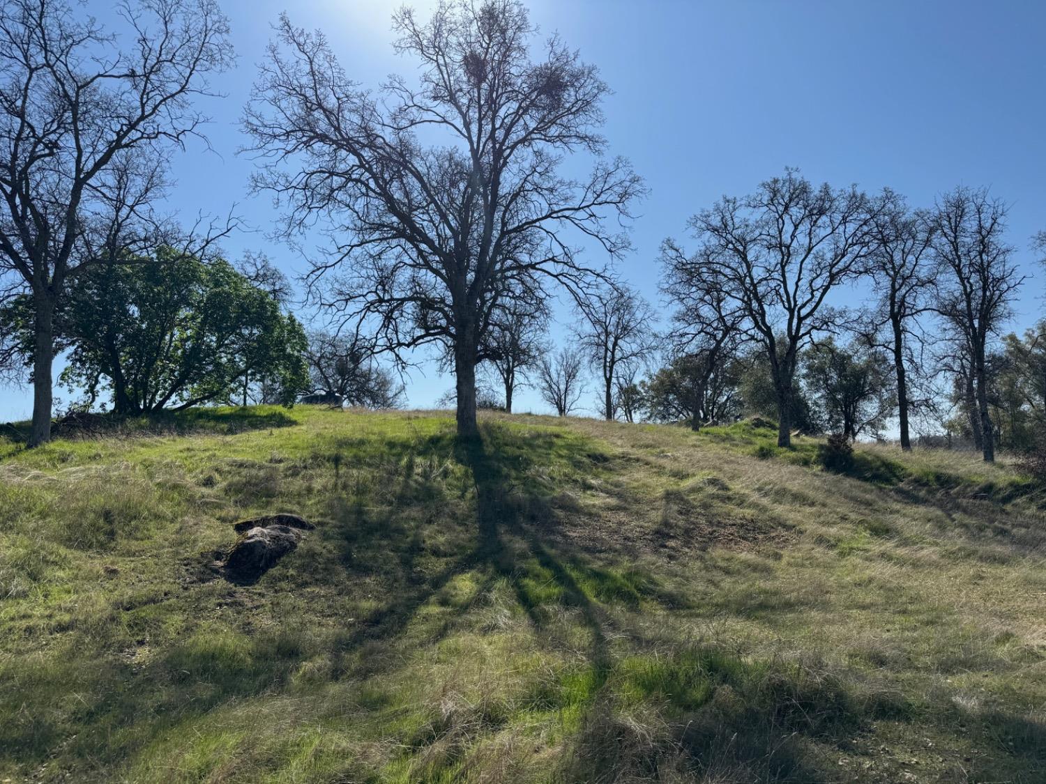 33116 Rancho De La Fruta Lane