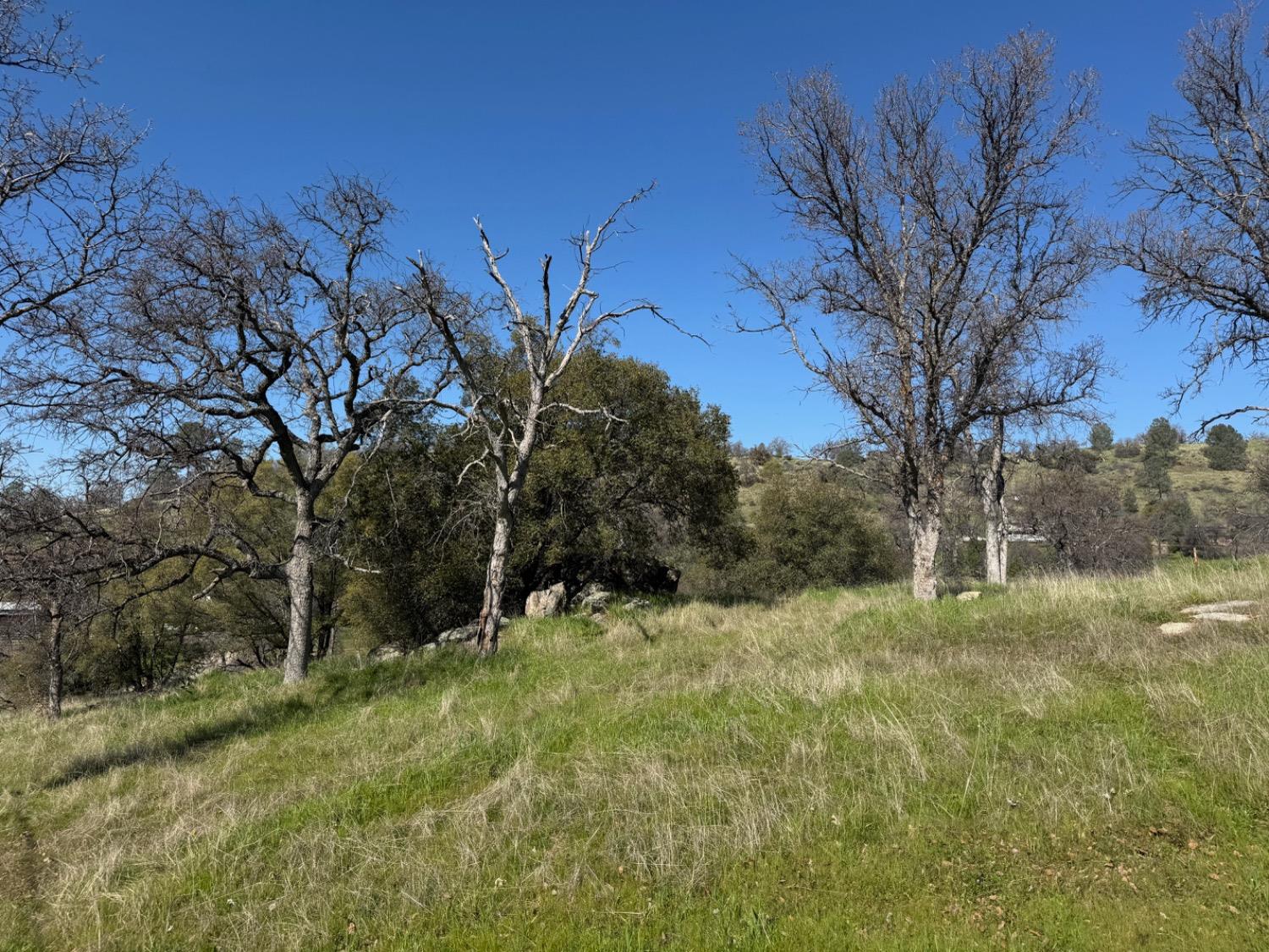 33116 Rancho De La Fruta Lane