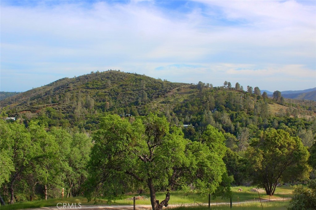 5588 Bear Trap Drive