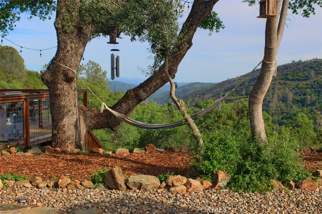 5588 Bear Trap Drive