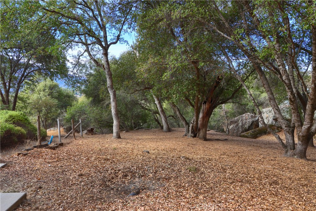 40600 Indian Springs Road