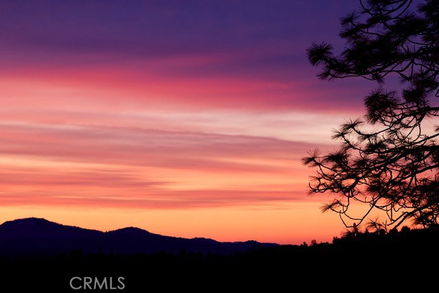 5333 Wilderness View Drive