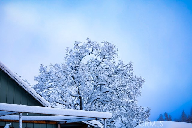 5333 Wilderness View Drive