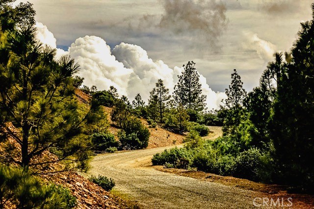 5333 Wilderness View Drive