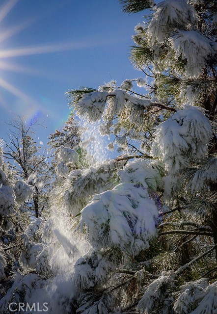 5333 Wilderness View Drive