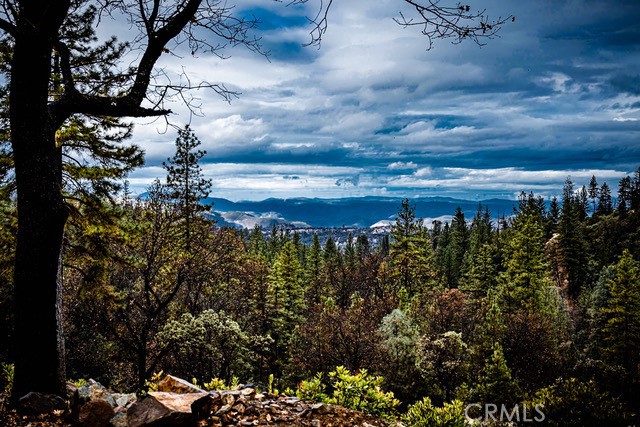 5333 Wilderness View Drive