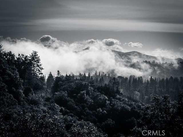 5333 Wilderness View Drive