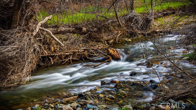 5333 Wilderness View Drive