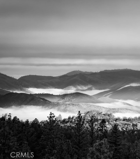 5333 Wilderness View Drive