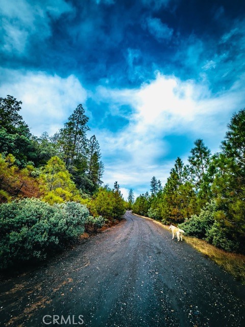 5333 Wilderness View Drive