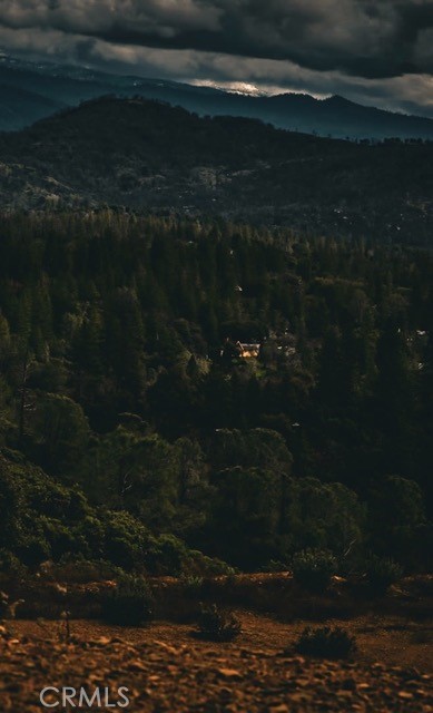 5333 Wilderness View Drive