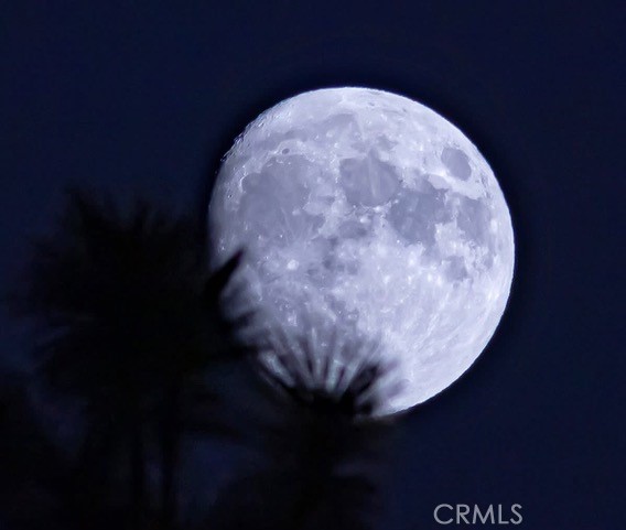 5333 Wilderness View Drive