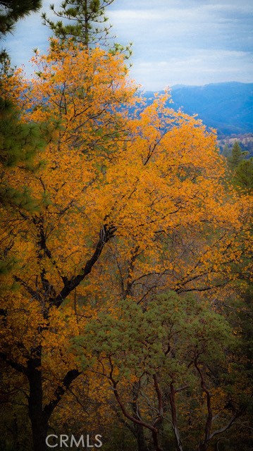 5333 Wilderness View Drive