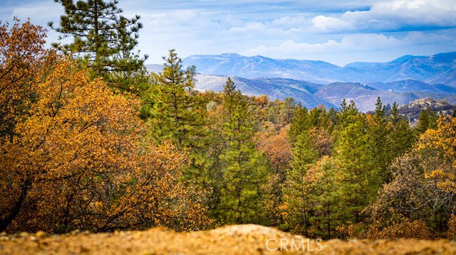 5333 Wilderness View Drive