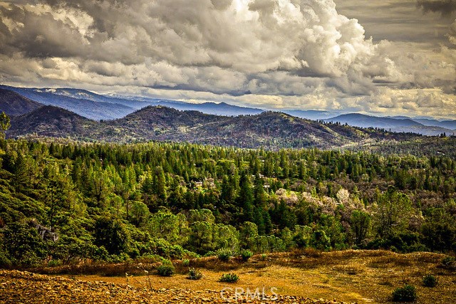 5333 Wilderness View Drive