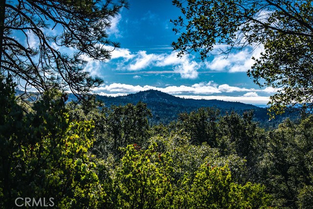 5333 Wilderness View Drive